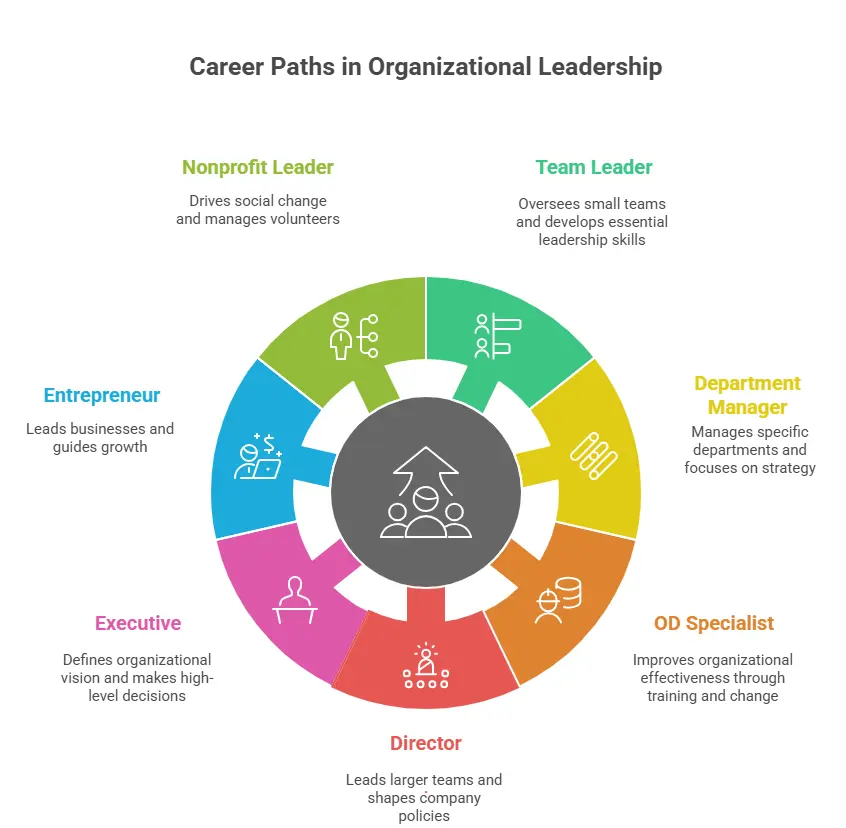 Career Paths in Organizational Leadership