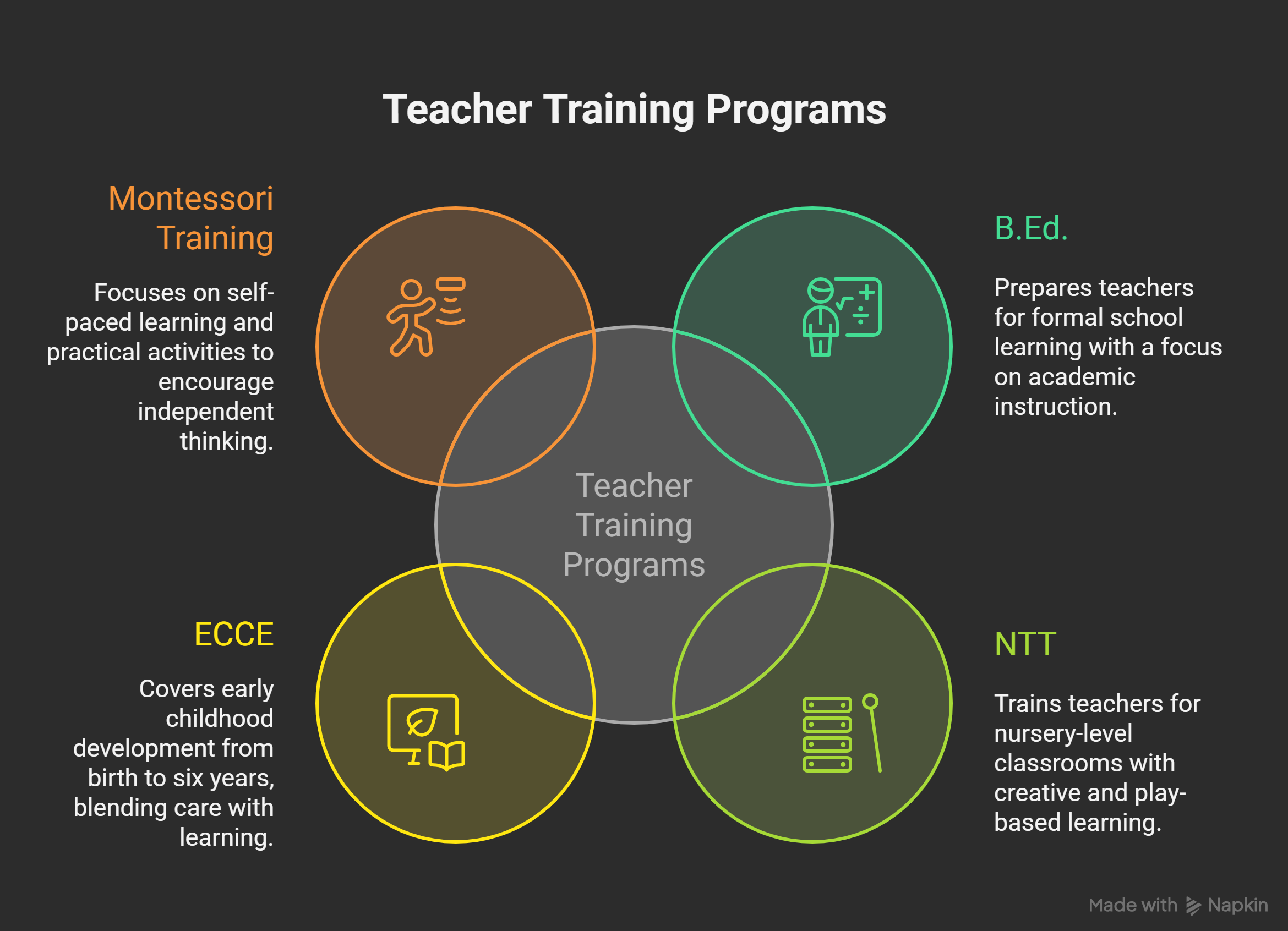Difference-Between-B.Ed._-NTT_-ECCE-_-Montessori-Training-visual-selection