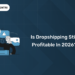 Is Dropshipping Still Profitable in 2026?