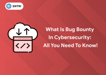 bug bounty in cybersecurity