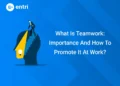 What Is Teamwork: Importance And How To Promote It At Work?