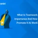 What Is Teamwork: Importance And How To Promote It At Work?