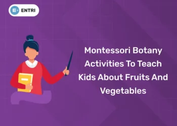 Montessori Botany Activities To Teach Kids About Fruits And Vegetables