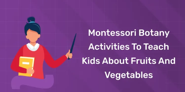 Montessori Botany Activities To Teach Kids About Fruits And Vegetables