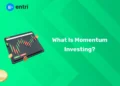 What is momentum investing