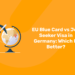 EU Blue Card vs Job Seeker Visa in Germany: Which Is Better?