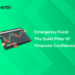 Emergency Fund_Stock Market