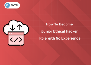 How to Become Junior Ethical Hacker Role with No Experience