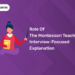 Role of the Montessori Teacher: Interview-Focused Explanation