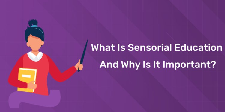 What is Sensorial Education and why is it important