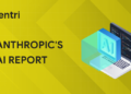 Anthropic's Report