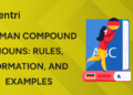 German Compound Nouns Rules, Formation, and Examples
