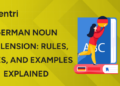 German Noun Declension Rules, Cases, and Examples Explained