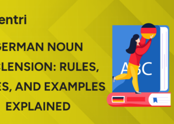 German Noun Declension Rules, Cases, and Examples Explained