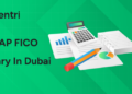 SAP FICO Salary in Dubai