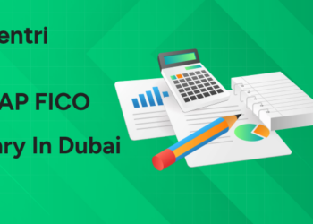 SAP FICO Salary in Dubai