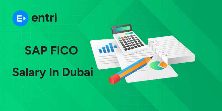 SAP FICO Salary in Dubai
