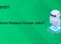 Will Robots Replace Human Jobs?