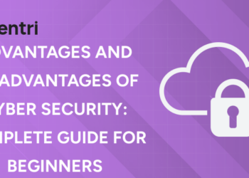 Advantages and Disadvantages of Cyber Security Complete Guide for Beginners
