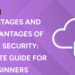 Advantages and Disadvantages of Cyber Security Complete Guide for Beginners