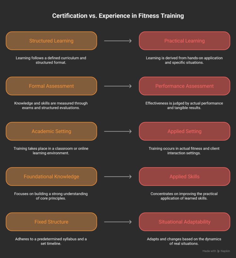 Certification Vs. Learning Certification vs Experience – Which Matters Most?