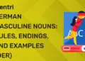German Masculine Nouns: Rules, Endings, and Examples (Der)
