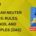 German Neuter Nouns: Rules, Endings, and Examples (Das)