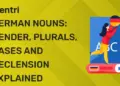 German Nouns Gender, Plurals, Cases and Declension Explained
