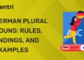 German Plural Nouns Rules, Endings, and Examples