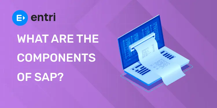 What are the Components of SAP