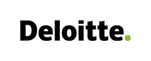 deloitte hiring internal audit analyst