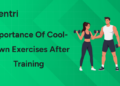 Importance of Cool-Down Exercises After Training