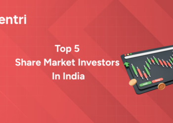 Share Market Investors
