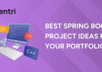 Best Spring Boot Project Ideas For Your Portfolio