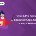 What Is Pre Primary Education? Age, Stages & Why It Matters