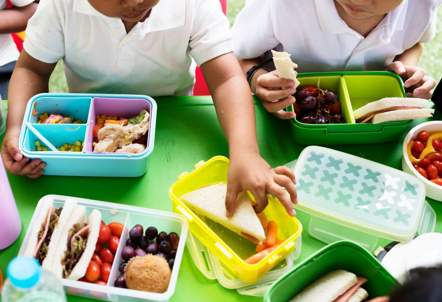 Lunch Box Ideas