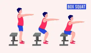 box squat
