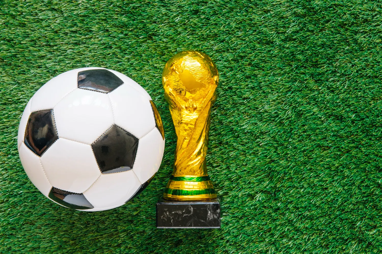 FIFA World Cup