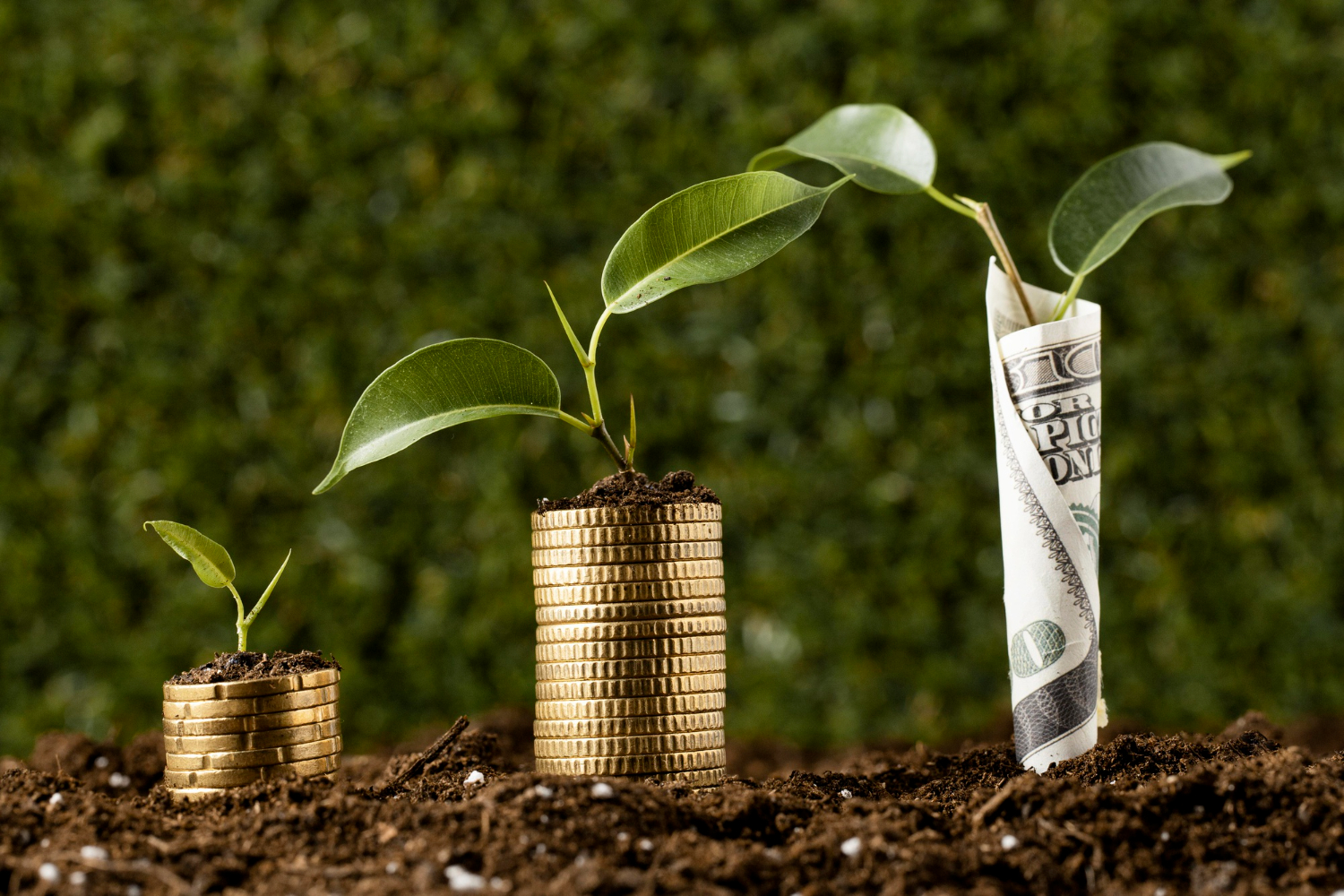 Alternative Investment Fund