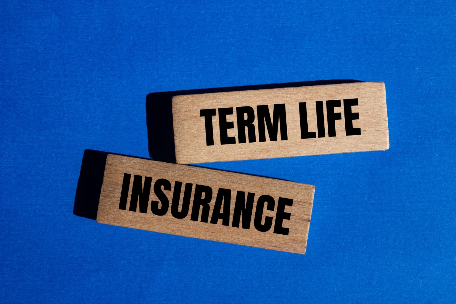 Term Life insurance