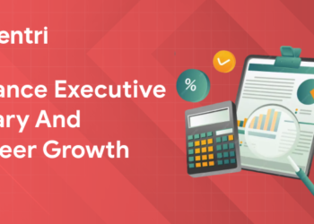 Finance Executive Salary and Career Growth