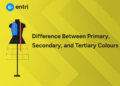 Difference Between Primary, Secondary, and Tertiary Colours