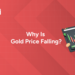 Stock Market