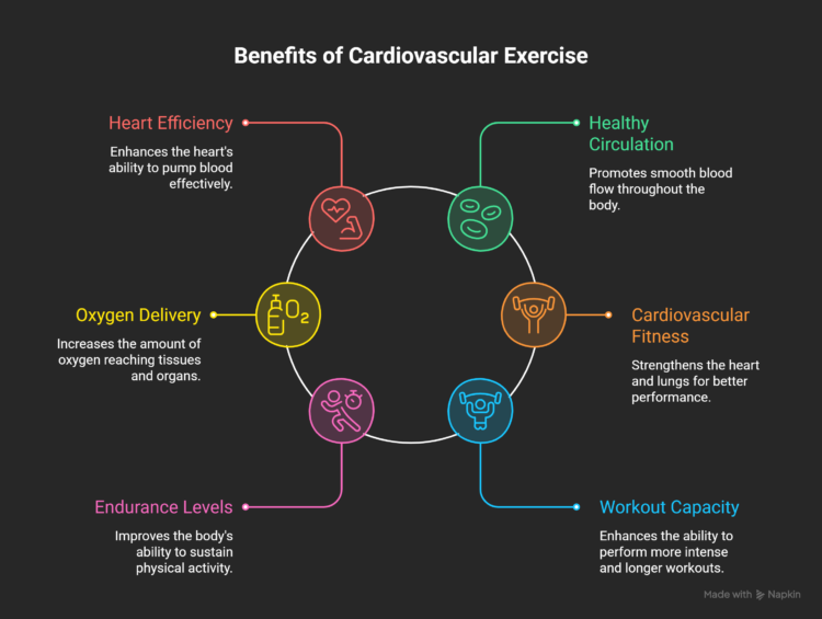 HIIT-for-Cardiovascular-Health-visual-selection