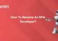 RPA Developer