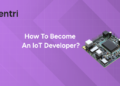 IoT Developer