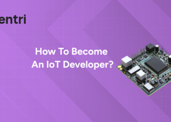 IoT Developer