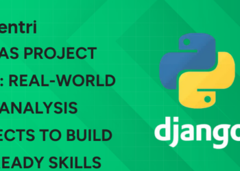 Pandas Project Ideas Real-World Data Analysis Projects to Build Job-Ready Skills