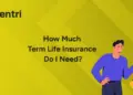 Term Life Insurance