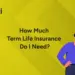 Term Life Insurance